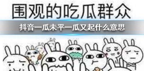 抖音免费吃瓜群号,畅享热门资讯狂欢盛宴  第1张